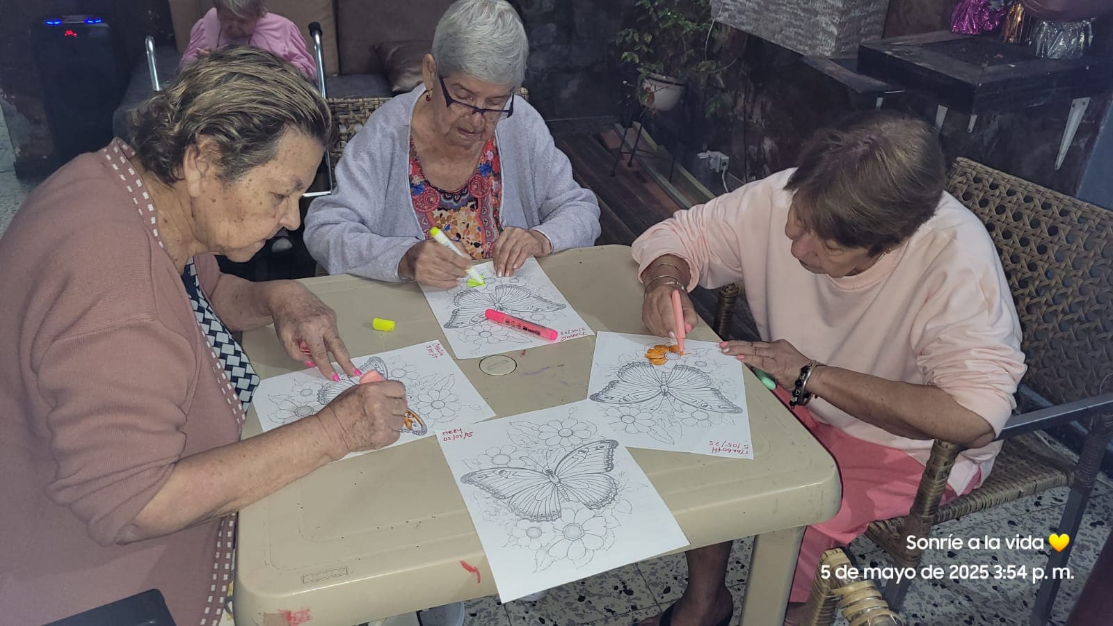 Actividades Cognitivas